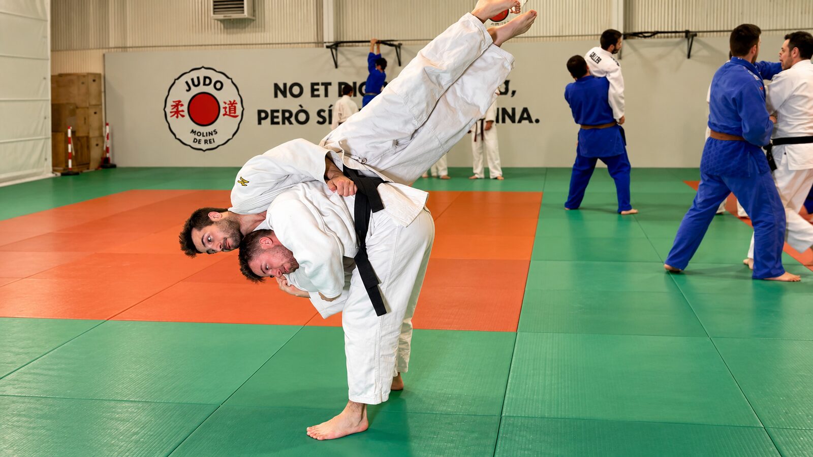Judocas entrenando en el tatami